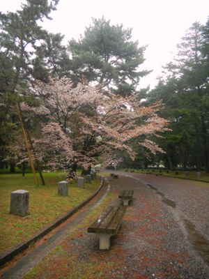 ???????????????????????????????