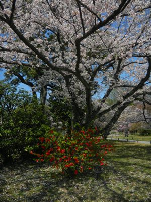 ???????????????????????????????