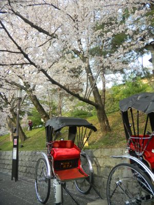 ???????????????????????????????