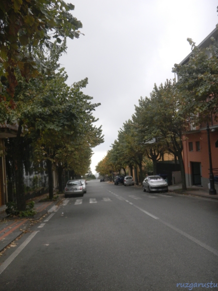 Issız ve muntazam sokaklar