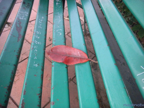 Sonbahar 'ben burdayım' diyor