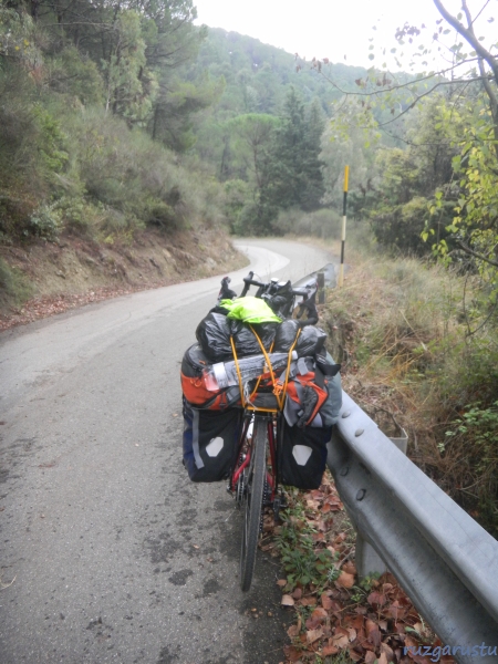 Yükler hem acınası, hem sevimli.