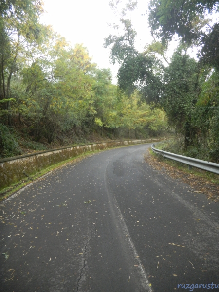 Ormanın içinden hızlı ve eğlenceli bir iniş
