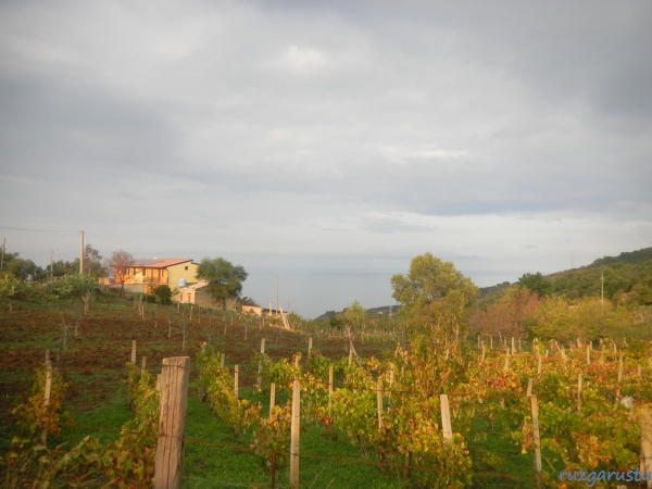 Yerleşimler görünmeye başladı